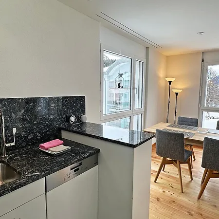 Echtholz, 110m2, Sport, Erholung, Mit Garage - Su48 Apartament Sankt Moritz